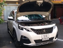 Mua bình ắc quy xe Peugeot tại tphcm ở đâu chính hãng?