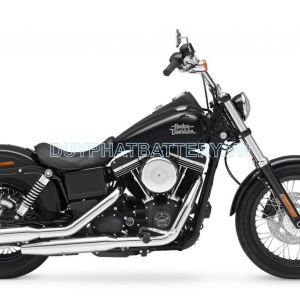 Bình ắc quy xe Harley Davidson 1690 Dyna Softail chính hãng