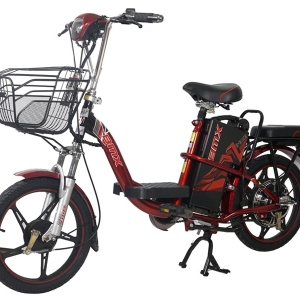 Bình ắc quy xe đạp điện Bmx 18inch 2019 chính hãng