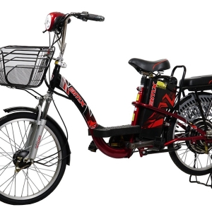 Bình ắc quy xe đạp điện Bmx 22inch chính hãng