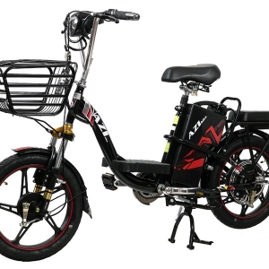 Bình ắc quy xe đạp điện AZI Bike 18inch chính hãng