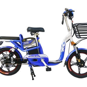 Bình ắc quy xe đạp điện AZI Bike 18inch có giảm xóc chính hãng