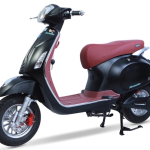 Bình ắc quy xe máy điện Vespa Nioshima Plus chính hãng