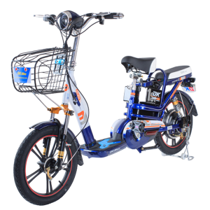 Bình ắc quy xe đạp điện DKBike 18A Plus chính hãng