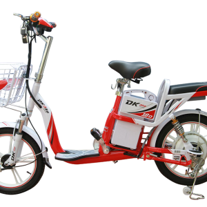 Bình ắc quy xe đạp điện DKBike 18D chính hãng