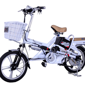 Bình ắc quy xe đạp điện DKBike 18V chính hãng