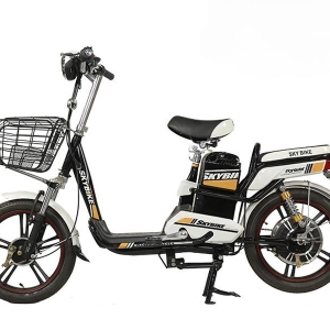 Bình ắc quy xe đạp điện DTP Skybike chính hãng