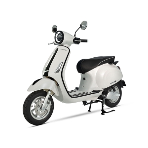 Bình ắc quy xe máy điện Espero Vespa chính hãng