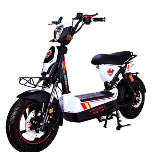 Bình ắc quy xe máy điện Hkbike Crazybull chính hãng