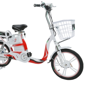 Bình ắc quy xe đạp điện Hkbike Zinger Color 2 chính hãng