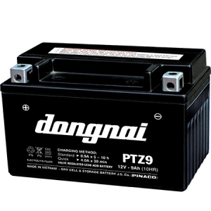 Ắc quy khô xe máy Đồng Nai PTZ9 (12V-9Ah)