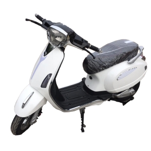 Bình ắc quy xe máy điện LTP Bike Vespa chính hãng