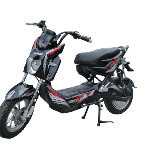 Bình ắc quy xe máy điện LTP Bike Xmen 2 chính hãng