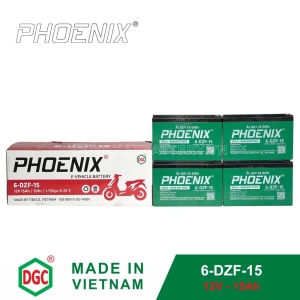Bình ắc quy xe đạp điện Phoenix 6-DZF-15 (12V-15Ah)