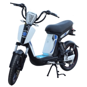 Bình ắc quy xe đạp điện Pop Teen Terra Motors chính hãng