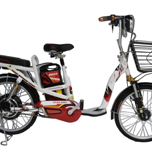 Bình ắc quy xe đạp điện Bmx Star 22inch chính hãng