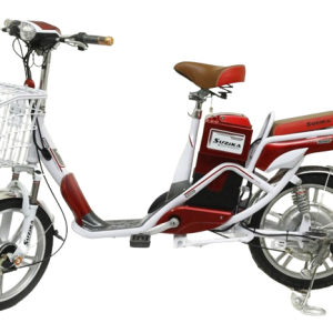 Bình ắc quy xe đạp điện Suzika bike chính hãng