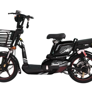 Bình ắc quy xe đạp điện Vnbike V3 Plus chính hãng