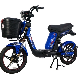 Bình ắc quy xe đạp điện Vnbike V9 chính hãng