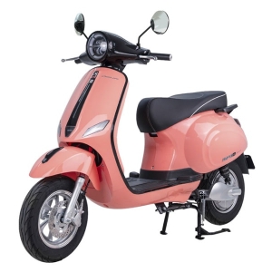 Bình ắc quy xe máy điện Espero Vespa Classic Pro chính hãng