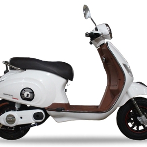 Bình ắc quy xe máy điện Espero Vespa GTS chính hãng