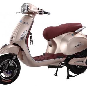 Bình ắc quy xe máy điện Vespas Dibao chính hãng