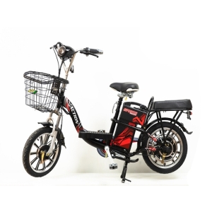 Bình ắc quy xe đạp điện Action 16inch chính hãng