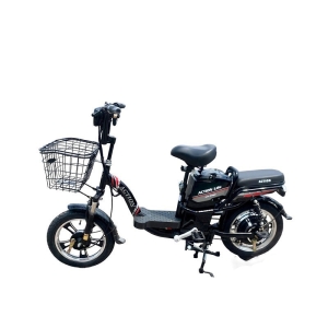 Bình ắc quy xe đạp điện Action 16inch New chính hãng