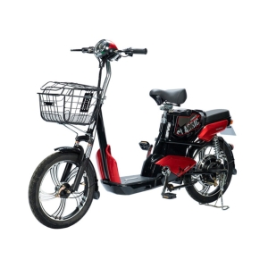Bình ắc quy xe đạp điện Anbico AP1705 chính hãng