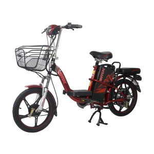 Bình ắc quy xe đạp điện Bmx 18inch 2019 chính hãng