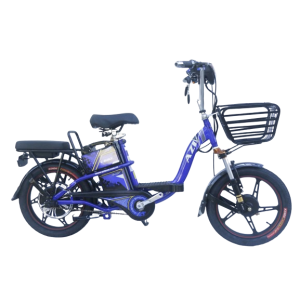 Bình ắc quy xe đạp điện AZI 18inch 2022 chính hãng