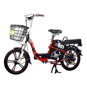 Bình ắc quy xe đạp điện Sonsu 18inch chính hãng