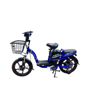 Bình ắc quy xe đạp điện Action 18inch chính hãng