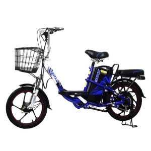 Bình ắc quy xe đạp điện Bmx 18inch chính hãng