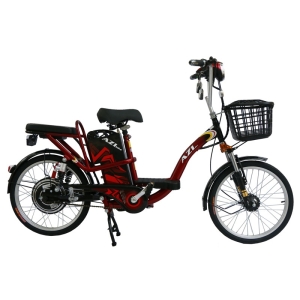 Bình ắc quy xe đạp điện AZI 22inch 2 nhún chính hãng