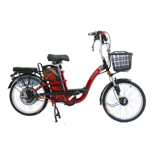 Bình ắc quy xe đạp điện AZI 22inch 2022 chính hãng