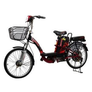 Bình ắc quy xe đạp điện Bmx 22inch chính hãng