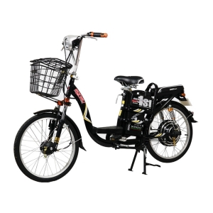 Bình ắc quy xe đạp điện Sonsu 22inch nhún sau chính hãng