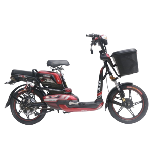 Bình ắc quy xe đạp điện AZI A1 18inch chính hãng