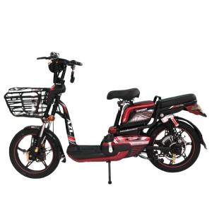 Bình ắc quy xe đạp điện AZI A10 chính hãng