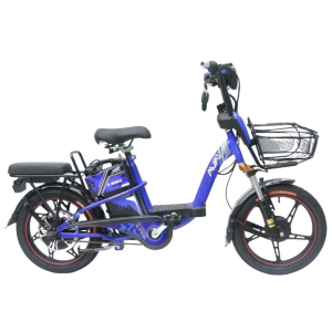 Bình ắc quy xe đạp điện AVA A14 18inch chính hãng