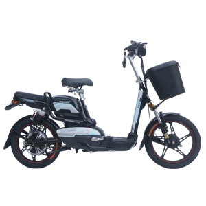 Bình ắc quy xe đạp điện AZI A2 chính hãng