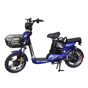 Bình ắc quy xe đạp điện Michi A6 chính hãng