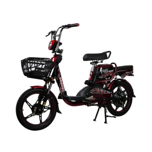 Bình ắc quy xe đạp điện Draca A8 chính hãng