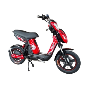 Bình ắc quy xe đạp điện Aishima chính hãng