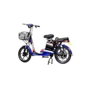Bình ắc quy xe đạp điện Alpha A1 chính hãng