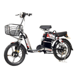 Bình ắc quy xe đạp điện Alpha A2 chính hãng
