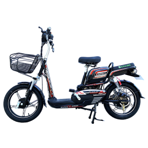 Bình ắc quy xe đạp điện Alpha A8 chính hãng