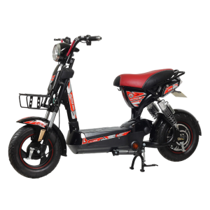 Bình ắc quy xe đạp điện Alpha M133 12A chính hãng