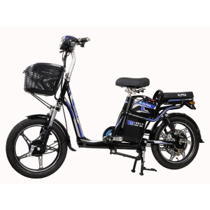Bình ắc quy xe đạp điện Alpha Mini chính hãng